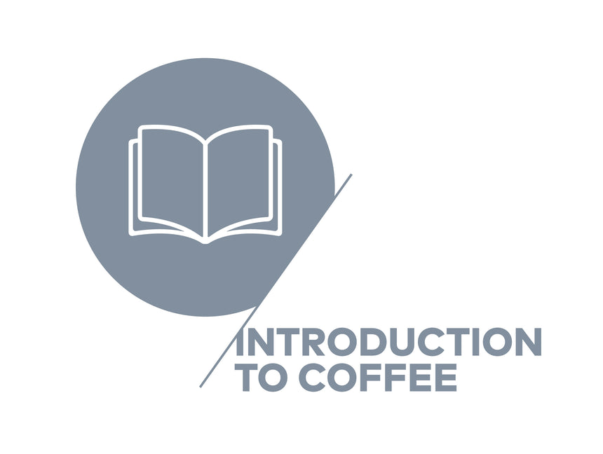 SCA - Introduction to Coffee, SCA - Hazel & Hershey Coffee Roasters