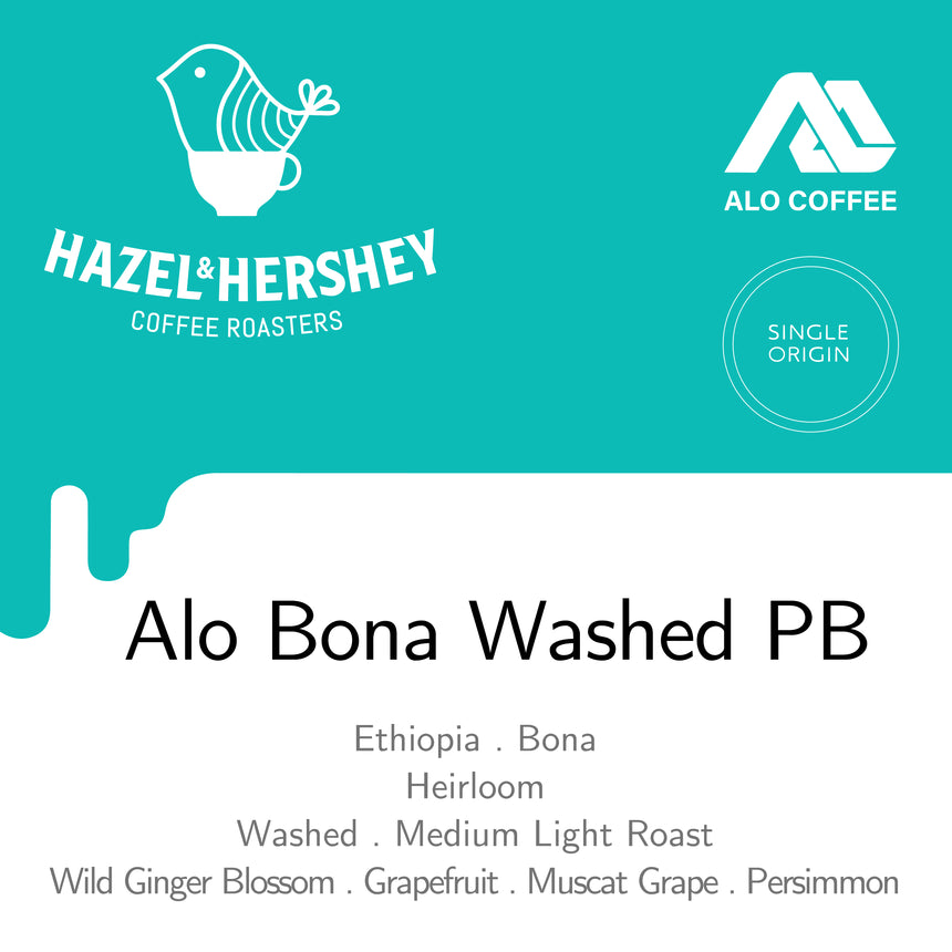 Ethiopia Alo Bona Washed PB