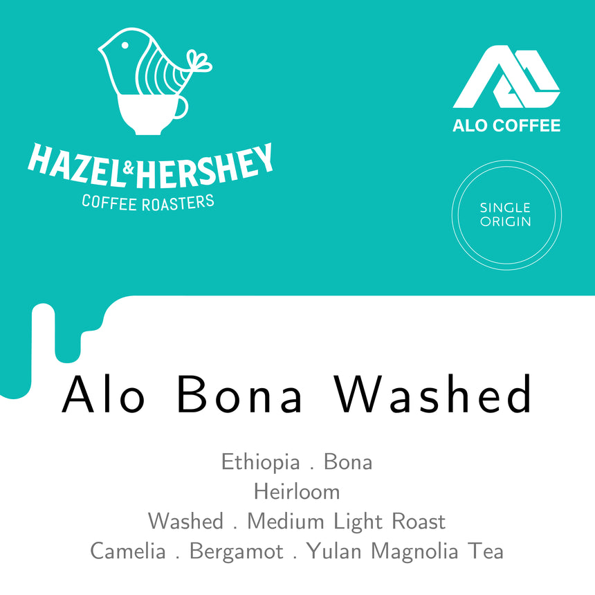 Ethiopia Alo Bona Washed