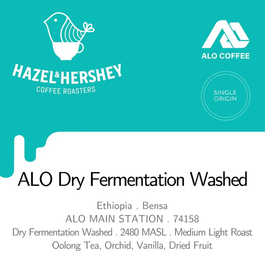 Ethiopia Alo Dry Fermentation Washed