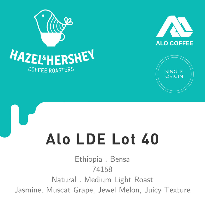 Alo LDE Lot 40