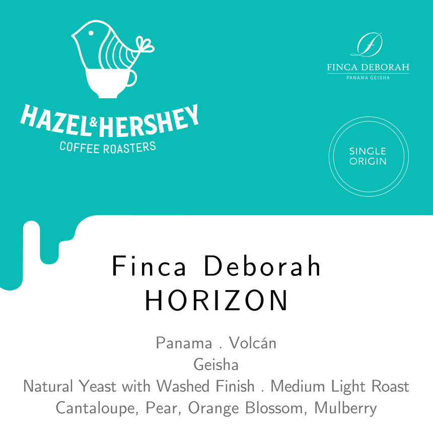 Panama Finca Deborah Horizon
