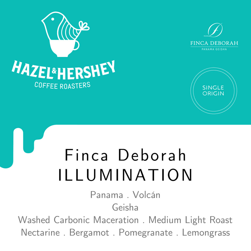 Panama Finca Deborah Illumination