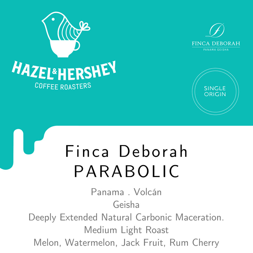 Panama Finca Deborah Parabolic