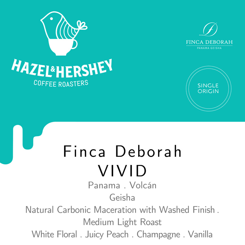 Panama Finca Deborah Vivid