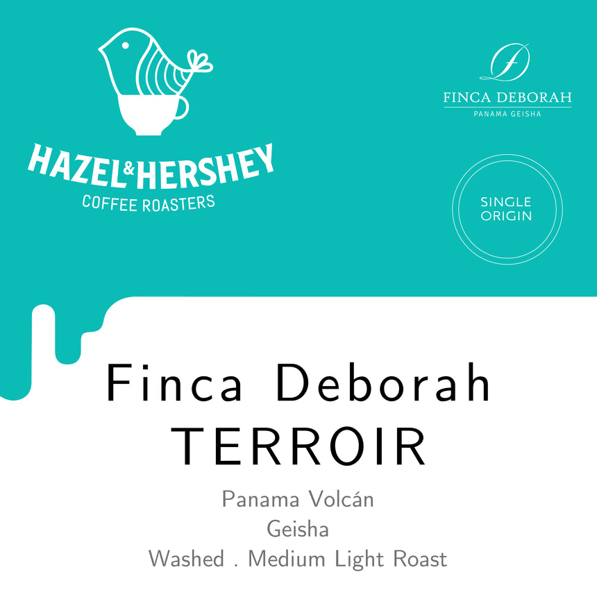Panama Finca Deborah Terroir Geisha