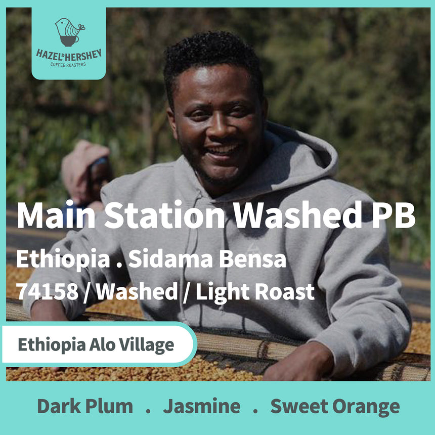 Ethiopia Alo Village Main Station Washed PB