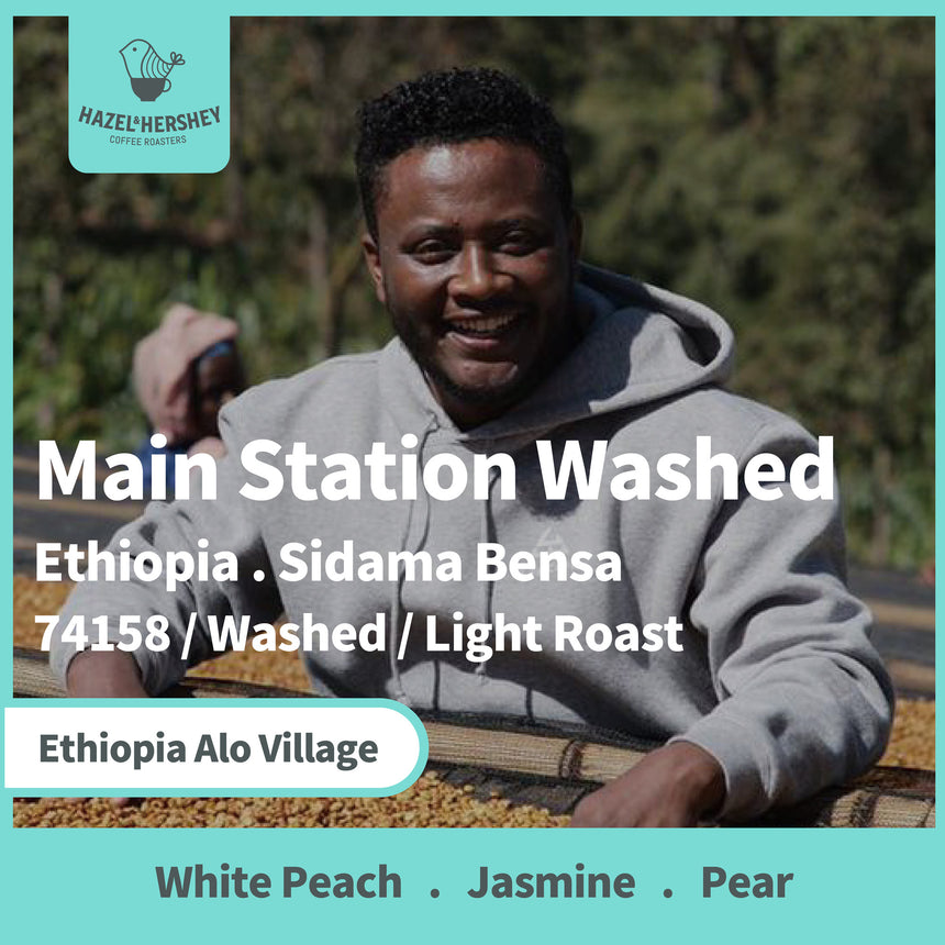 Ethiopia Alo Village Main Station Washed