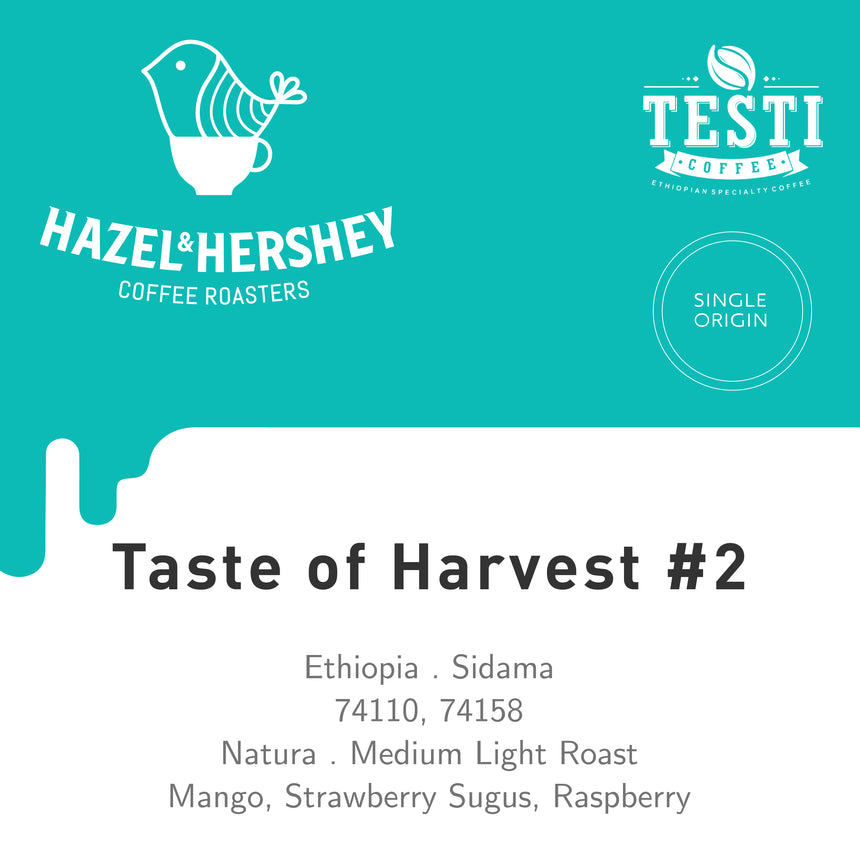 Ethiopia Taste of Harvest #2
