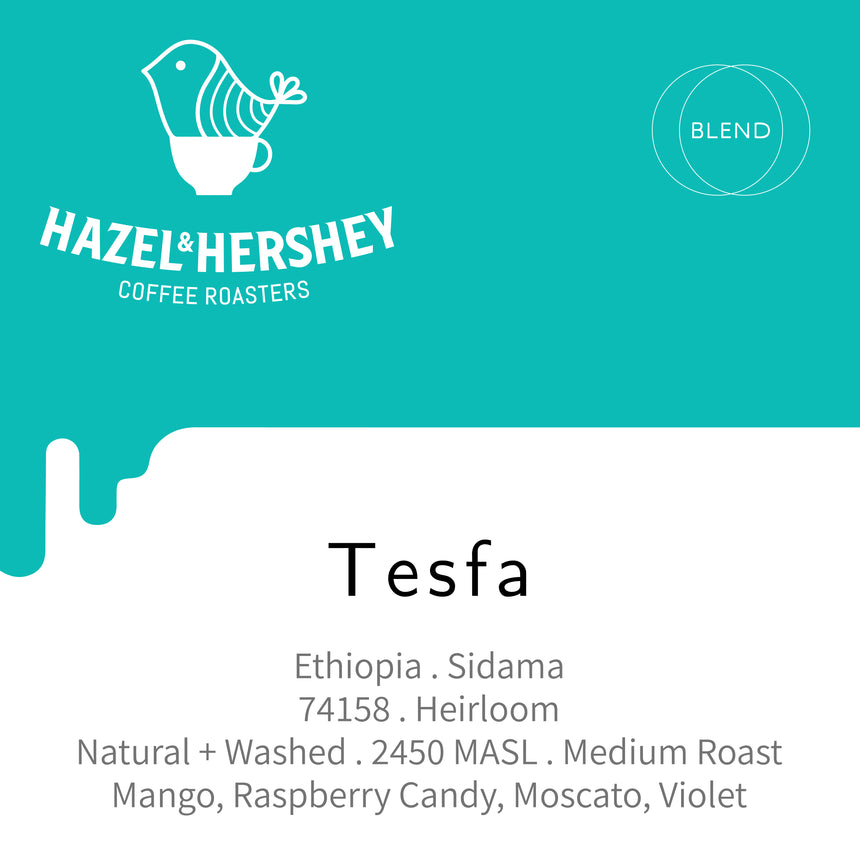 Ethiopia Tesfa Blend