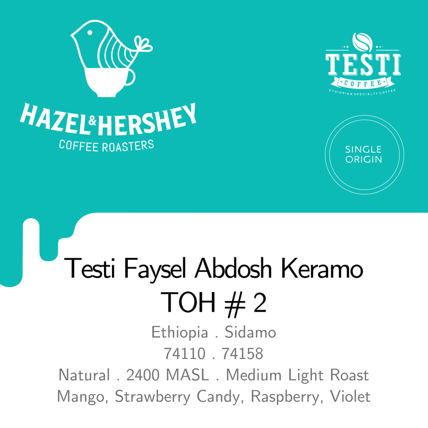 Ethiopia Testi Faysel Abdosh Keramo TOH#2