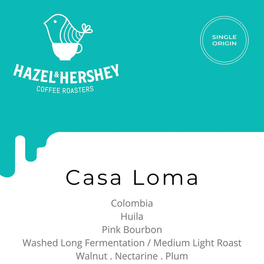 Colombia Casa Loma Washed Long Fermentation, Hazel & Hershey Coffee Roasters - Hazel & Hershey Coffee Roasters