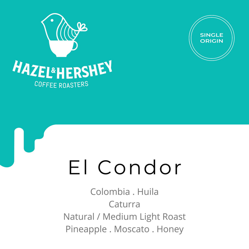 Colombia El Condor Natural, Hazel & Hershey Coffee Roasters - Hazel & Hershey Coffee Roasters