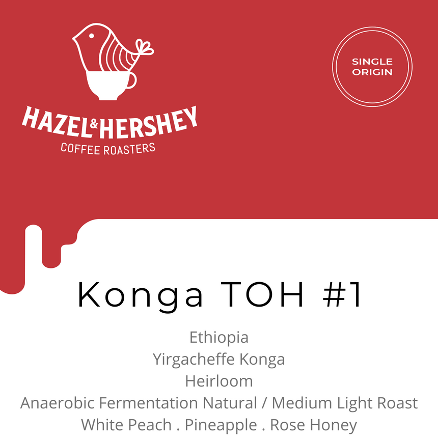 Ethiopia Konga TOH #1 Anaerobic Fermentation Natural, Hazel & Hershey Coffee Roasters - Hazel & Hershey Coffee Roasters
