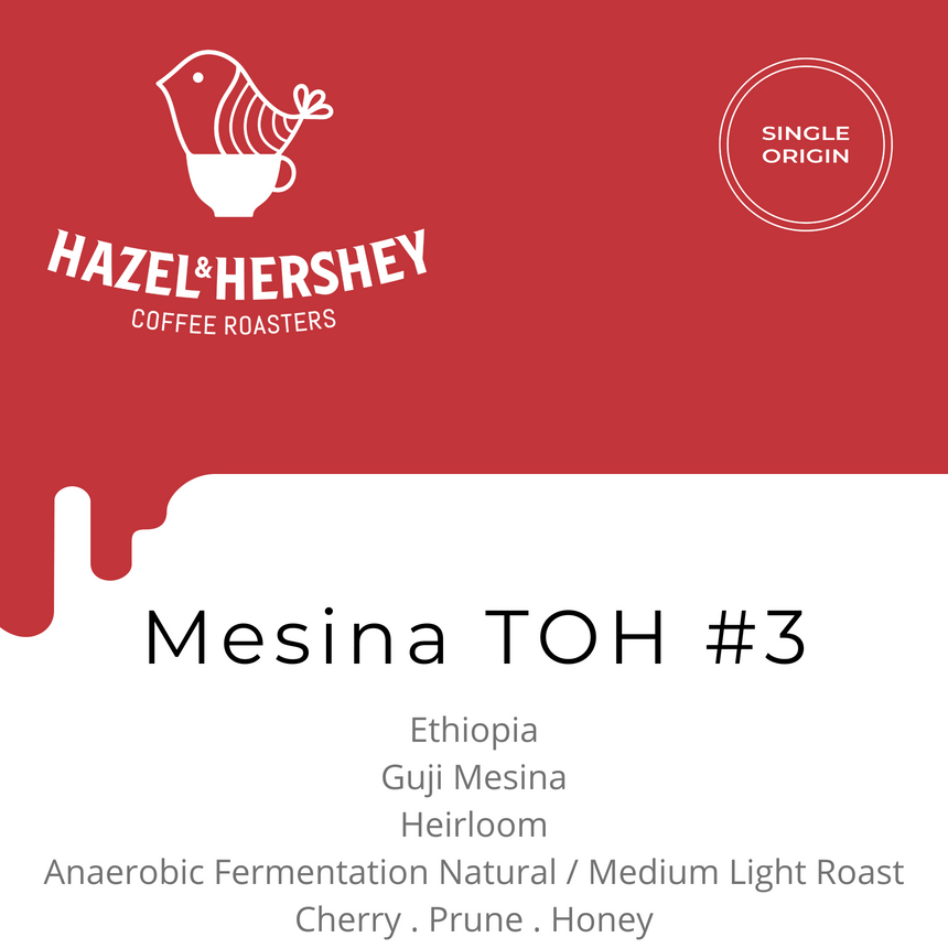 Ethiopia Mesina TOH #3 Anaerobic Fermentation Natural, Hazel & Hershey Coffee Roasters - Hazel & Hershey Coffee Roasters