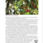 Dear Coffee Buyer - A Guide To Sourcing Green Coffee, Ryan Brown - Hazel & Hershey Coffee Roasters